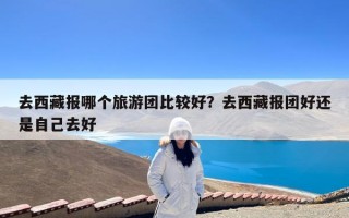 去西藏报哪个旅游团比较好？去西藏报团好还是自己去好