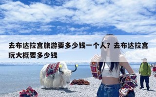 去布达拉宫旅游要多少钱一个人？去布达拉宫玩大概要多少钱