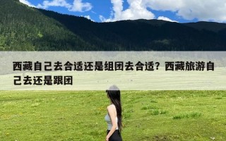 西藏自己去合适还是组团去合适？西藏旅游自己去还是跟团