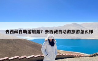 去西藏自助游旅游？去西藏自助游旅游怎么样