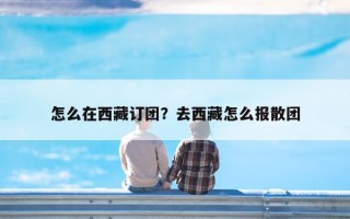 怎么在西藏订团？去西藏怎么报散团