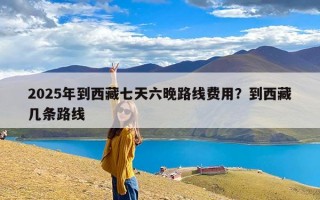 2025年到西藏七天六晚路线费用？到西藏几条路线