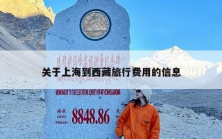 关于上海到西藏旅行费用的信息