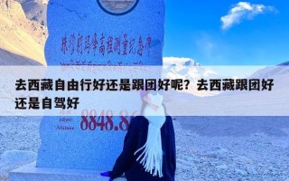 去西藏自由行好还是跟团好呢？去西藏跟团好还是自驾好