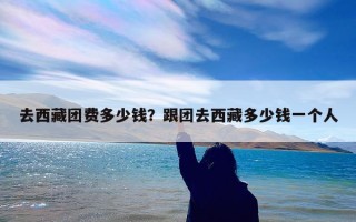 去西藏团费多少钱？跟团去西藏多少钱一个人
