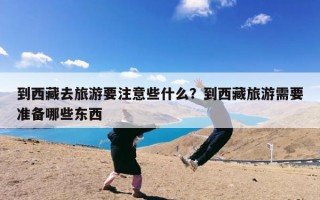 到西藏去旅游要注意些什么？到西藏旅游需要准备哪些东西