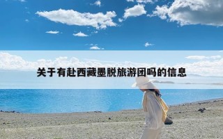 关于有赴西藏墨脱旅游团吗的信息