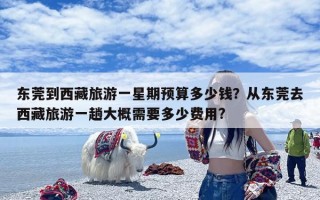 东莞到西藏旅游一星期预算多少钱？从东莞去西藏旅游一趟大概需要多少费用?