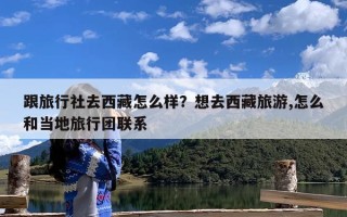 跟旅行社去西藏怎么样？想去西藏旅游,怎么和当地旅行团联系