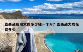 去西藏费用大概多少钱一个月？去西藏大概花费多少