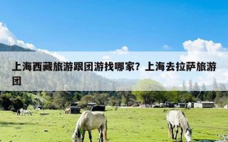 上海西藏旅游跟团游找哪家？上海去拉萨旅游团