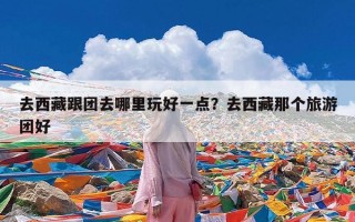去西藏跟团去哪里玩好一点？去西藏那个旅游团好