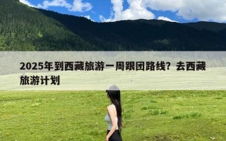 2025年到西藏旅游一周跟团路线？去西藏旅游计划