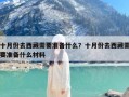 十月份去西藏需要准备什么？十月份去西藏需要准备什么材料