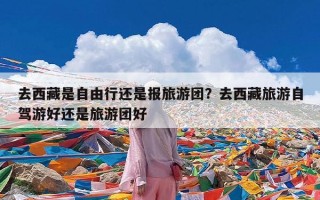 去西藏是自由行还是报旅游团？去西藏旅游自驾游好还是旅游团好