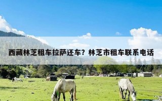 西藏林芝租车拉萨还车？林芝市租车联系电话