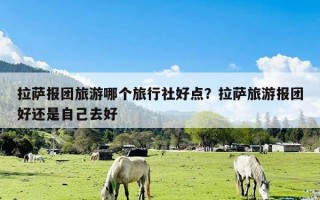 拉萨报团旅游哪个旅行社好点？拉萨旅游报团好还是自己去好