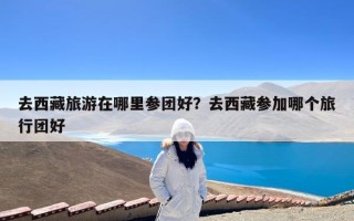 去西藏旅游在哪里参团好？去西藏参加哪个旅行团好