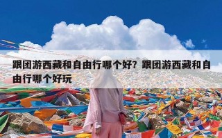 跟团游西藏和自由行哪个好？跟团游西藏和自由行哪个好玩