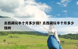 去西藏玩半个月多少钱？去西藏玩半个月多少钱啊