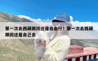 第一次去西藏跟团还是自由行？第一次去西藏跟团还是自己去