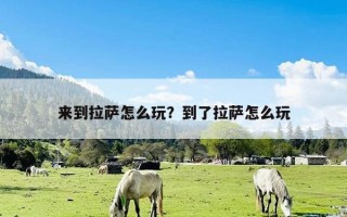 来到拉萨怎么玩？到了拉萨怎么玩