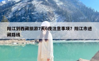 阳江到西藏旅游7天6夜注意事项？阳江市进藏路线