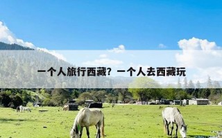 一个人旅行西藏？一个人去西藏玩