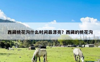 西藏桃花沟什么时间最漂亮？西藏的桃花沟