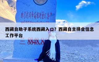 西藏自助子系统西藏入口？西藏自主择业信息工作平台