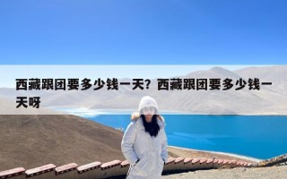 西藏跟团要多少钱一天？西藏跟团要多少钱一天呀