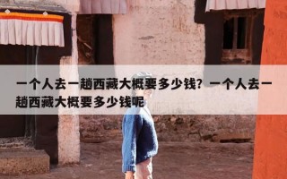一个人去一趟西藏大概要多少钱？一个人去一趟西藏大概要多少钱呢
