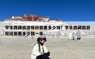 学生西藏旅游报团需要多少钱？学生西藏旅游报团需要多少钱一年