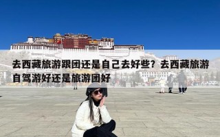 去西藏旅游跟团还是自己去好些？去西藏旅游自驾游好还是旅游团好