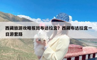 西藏旅游攻略报团布达拉宫？西藏布达拉宫一日游套路