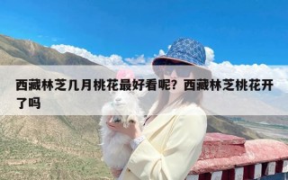 西藏林芝几月桃花最好看呢？西藏林芝桃花开了吗