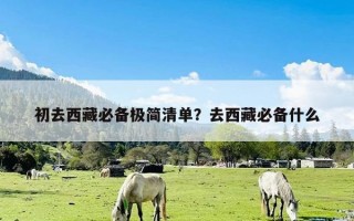 初去西藏必备极简清单？去西藏必备什么