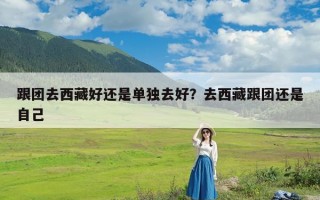 跟团去西藏好还是单独去好？去西藏跟团还是自己