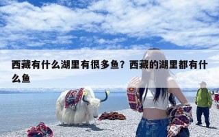 西藏有什么湖里有很多鱼？西藏的湖里都有什么鱼