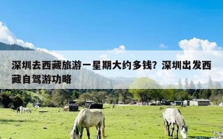 深圳去西藏旅游一星期大约多钱？深圳出发西藏自驾游功略
