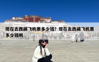 现在去西藏飞机票多少钱？现在去西藏飞机票多少钱啊