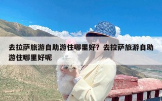 去拉萨旅游自助游住哪里好？去拉萨旅游自助游住哪里好呢