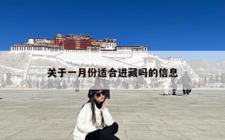 关于一月份适合进藏吗的信息