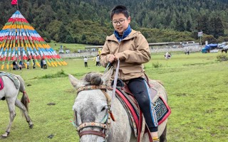 可以带小孩去西藏旅游吗？一家人去西藏旅游怎么玩安全省钱？