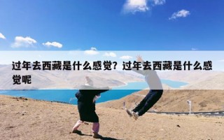 过年去西藏是什么感觉？过年去西藏是什么感觉呢