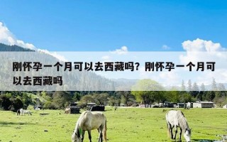 刚怀孕一个月可以去西藏吗？刚怀孕一个月可以去西藏吗