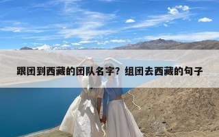 跟团到西藏的团队名字？组团去西藏的句子