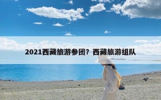 2021西藏旅游参团？西藏旅游组队