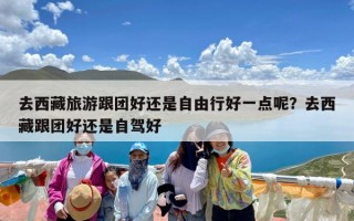 去西藏旅游跟团好还是自由行好一点呢？去西藏跟团好还是自驾好