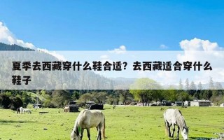 夏季去西藏穿什么鞋合适？去西藏适合穿什么鞋子